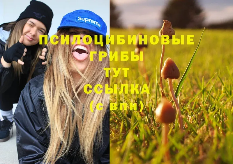 Галлюциногенные грибы Cubensis  нарко площадка формула  Ефремов  mega как войти 